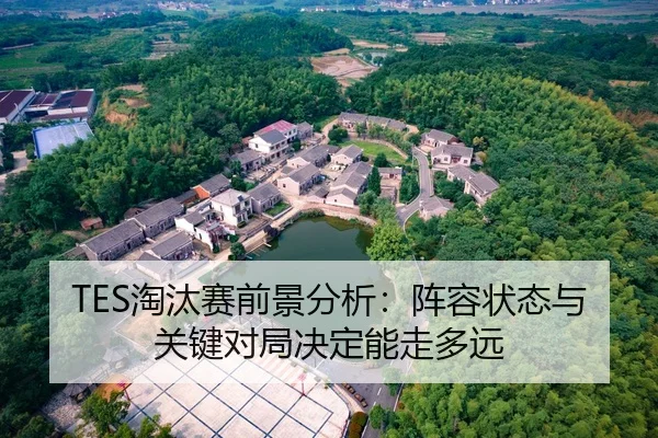 TES淘汰赛前景分析：阵容状态与关键对局决定能走多远 | kaiyun